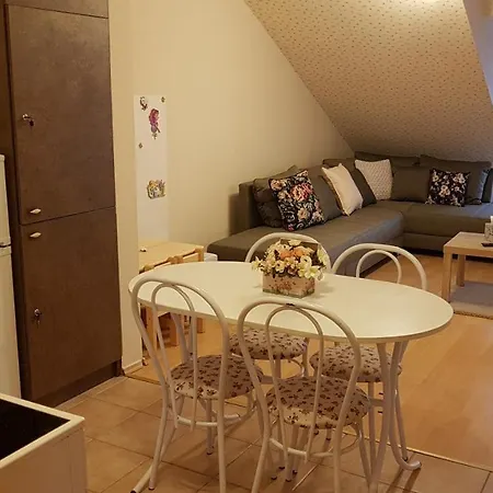 Riadorma Apartman Cserkeszolo Exterior photo